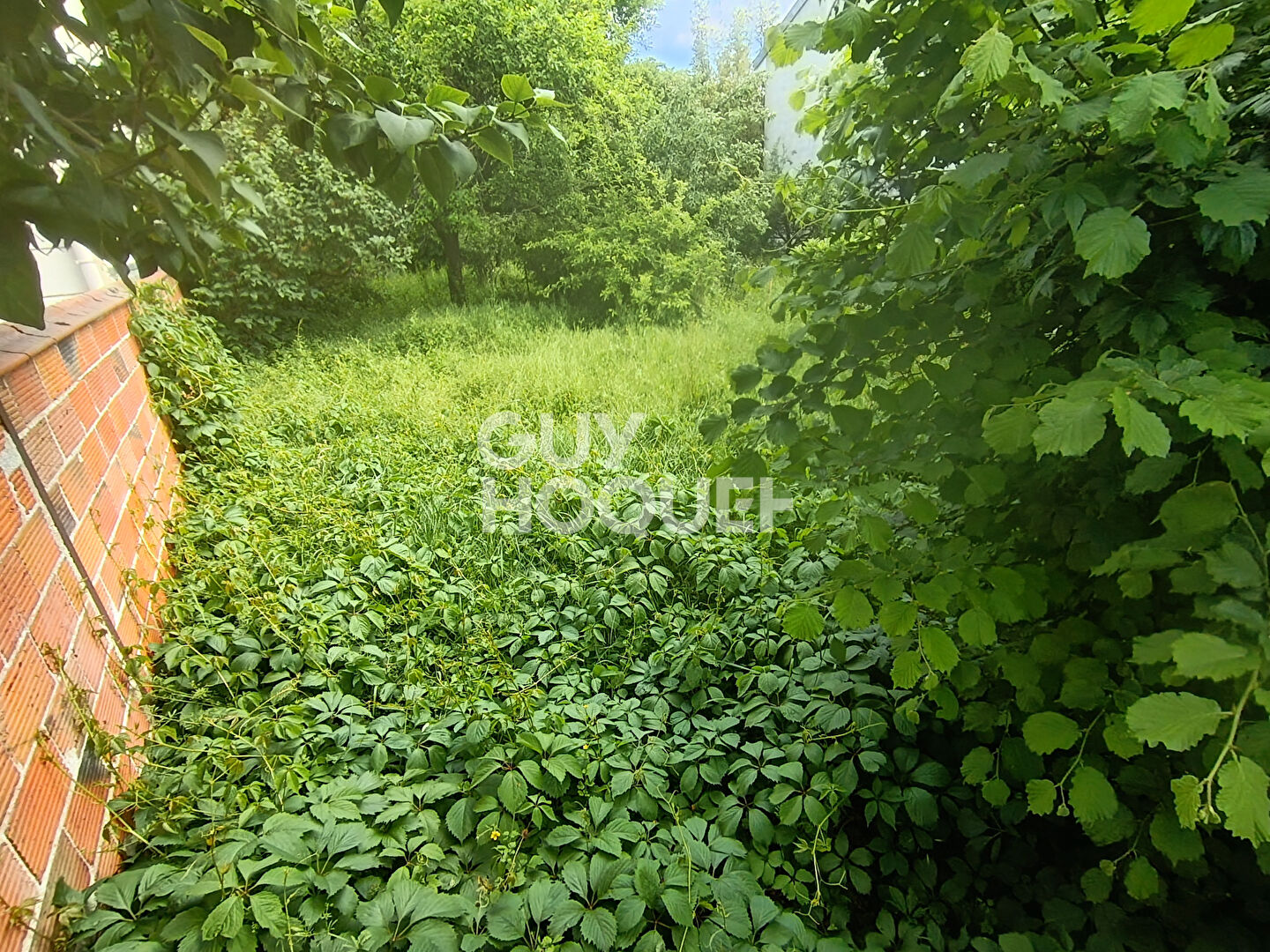 Terrain Chelles 420 m2