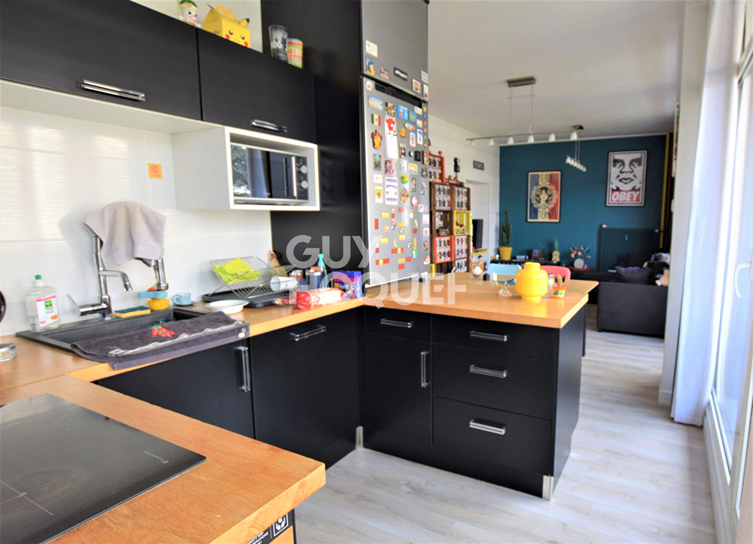 Chamalieres appartement coup de coeur de 45 m²