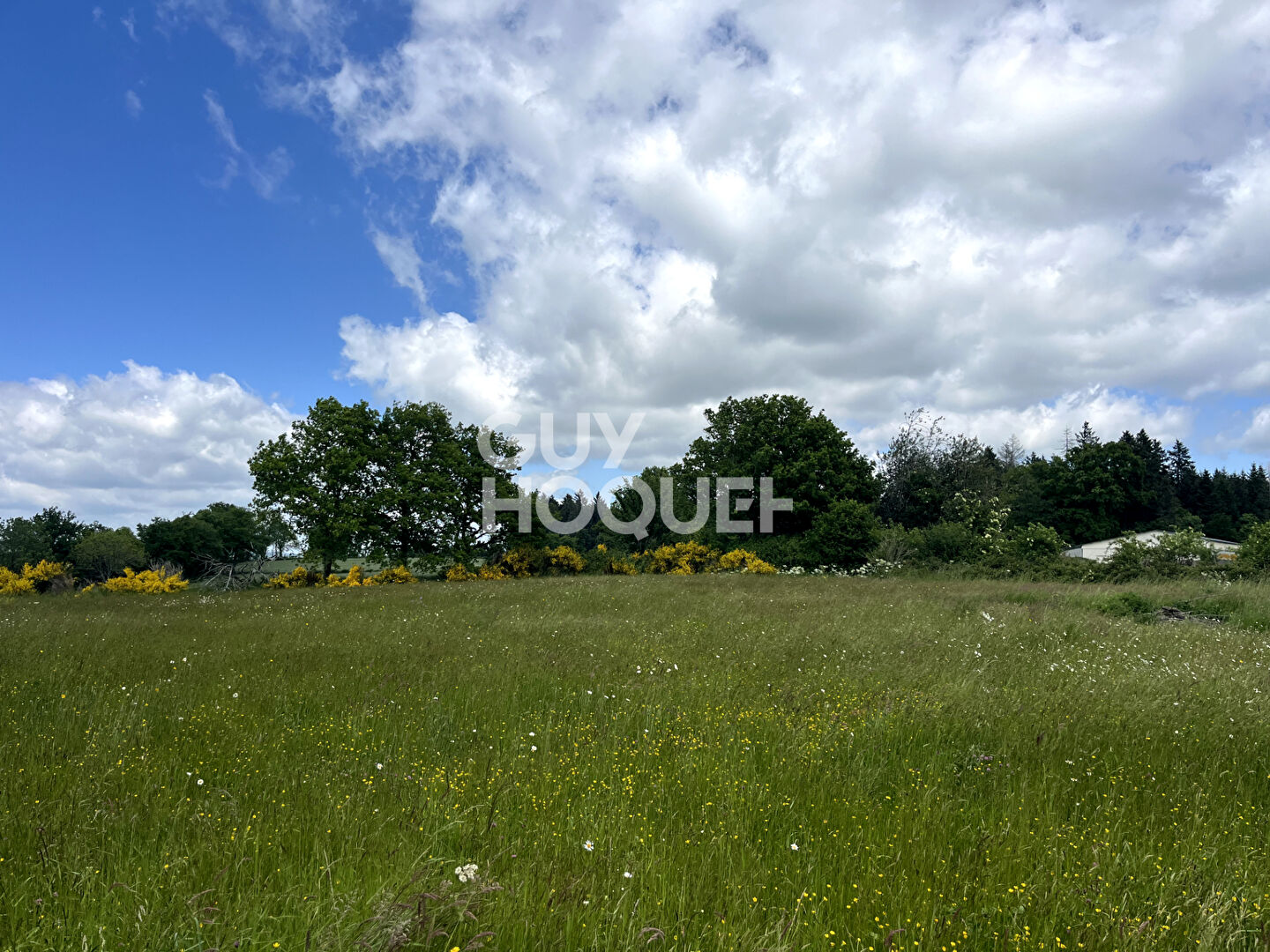 Maison Saint Priest Des Champs 4 pièce(s) 82 m2