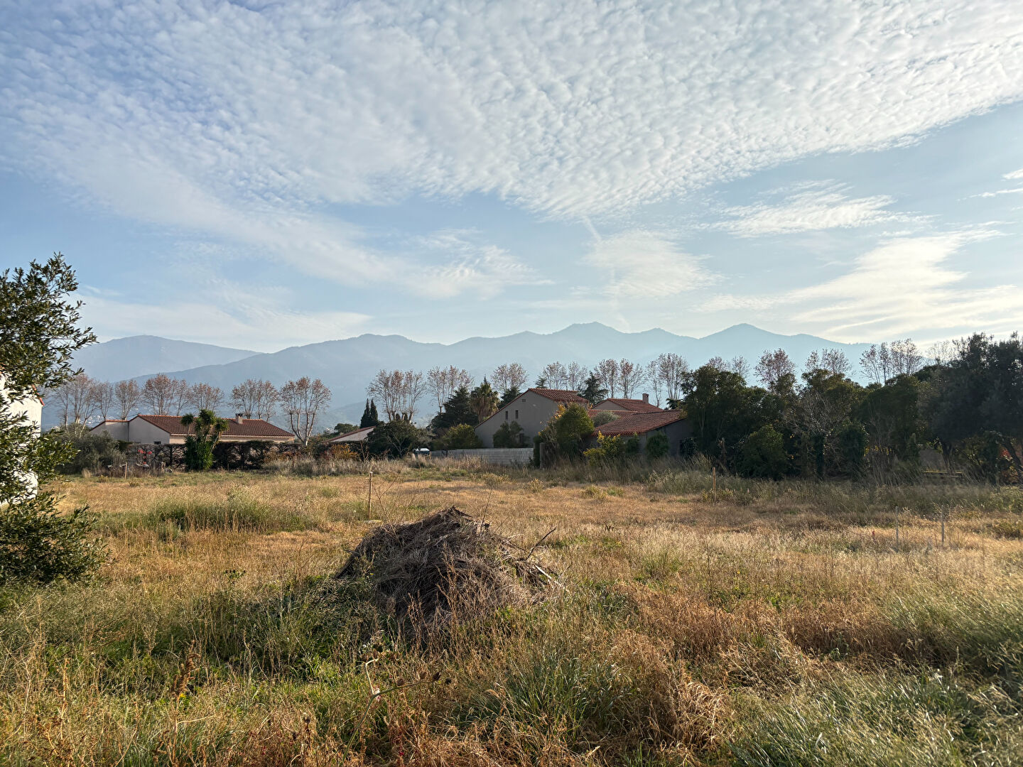 Terrain à bâtir ? 421 m² ? Vue Albères ? Montesquieu-les-Albères