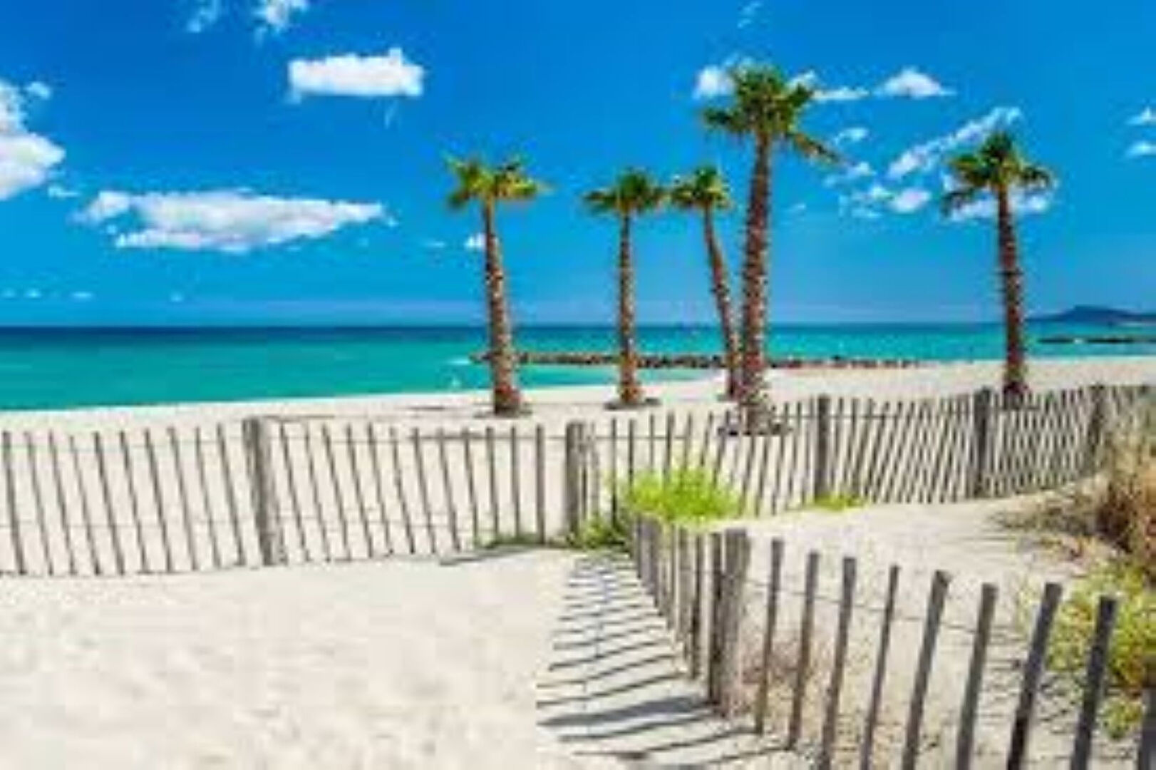 Fonds de commerce  restauration rapide Saint Cyprien