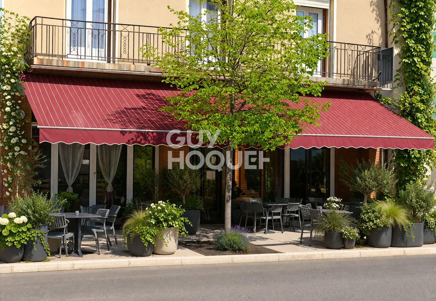 Fonds de commerce Restaurant, bar licence 4 brasserie Le Boulou