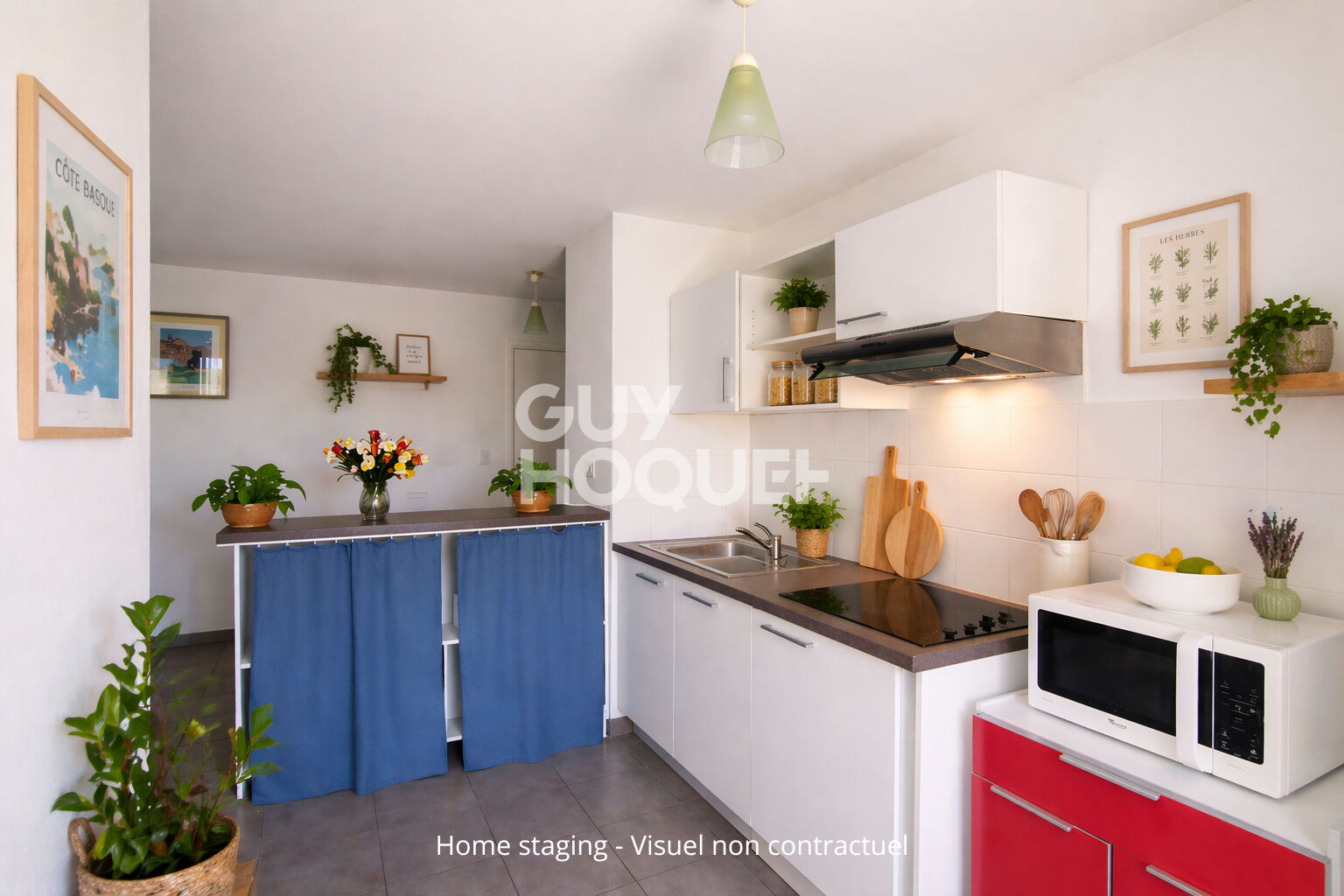 Appartement T3 - Canet en Roussillon - Vue Canigou