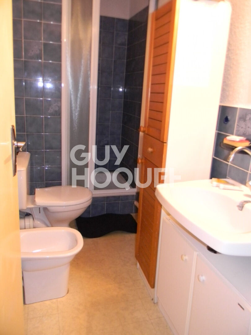 Appartement avec locataire en place  + parking