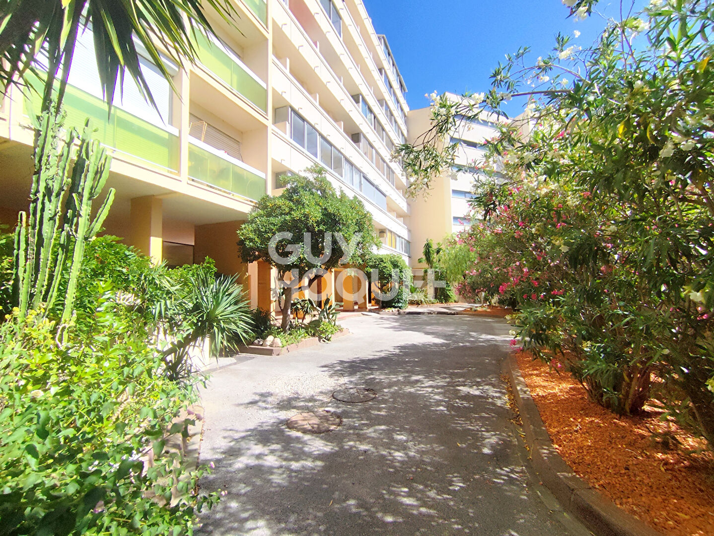 Appartement T3 traversant - Vue mer & Vue Canigou - 61 m²