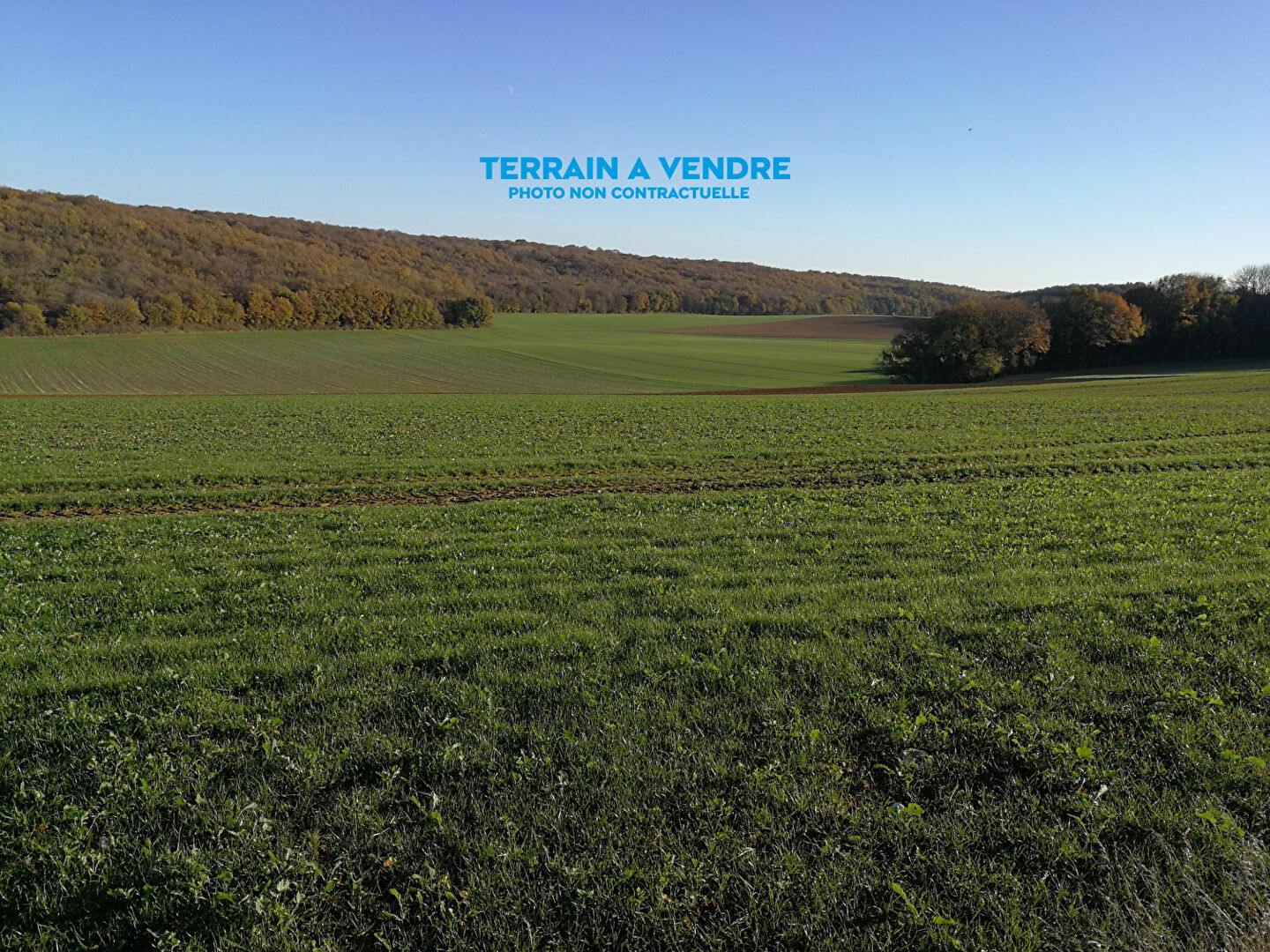 Terrain Saint Andre De Lidon