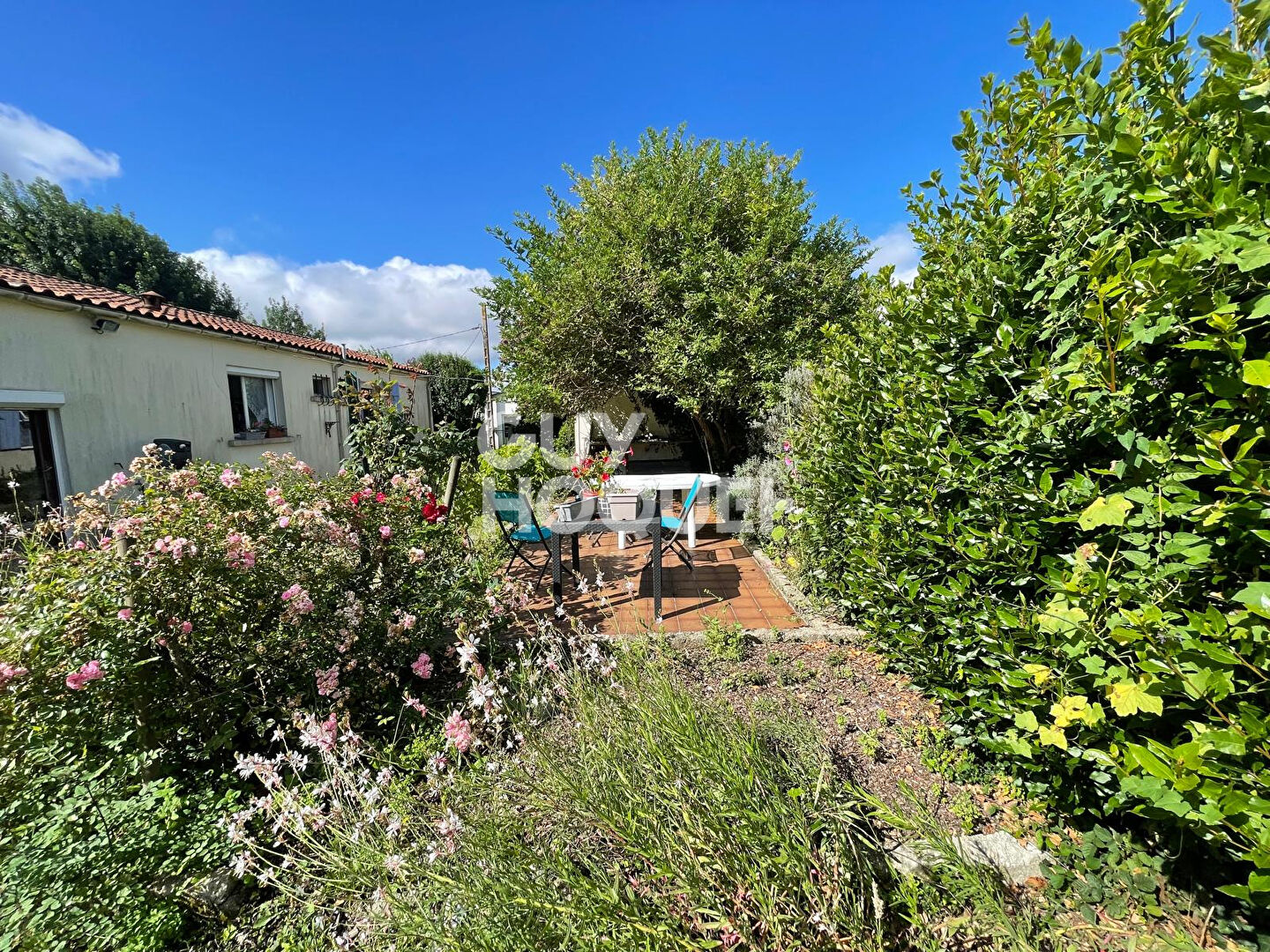 EXCLUSIVITÉ ? MAISON AVEC VUE PANORAMIQUE ET JARDIN ARBORÉ À COZES
