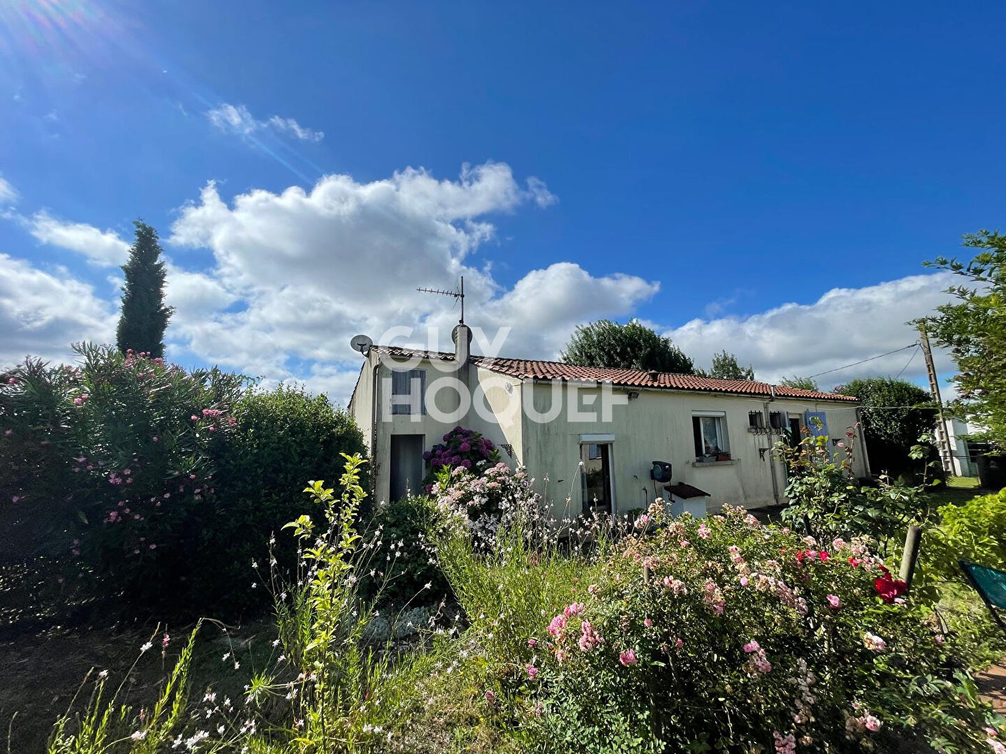 EXCLUSIVITÉ ? MAISON AVEC VUE PANORAMIQUE ET JARDIN ARBORÉ À COZES