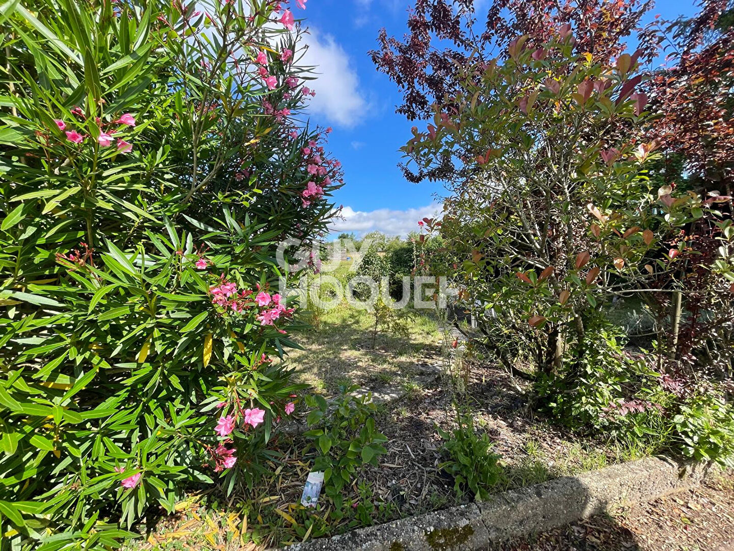 EXCLUSIVITÉ ? MAISON AVEC VUE PANORAMIQUE ET JARDIN ARBORÉ À COZES
