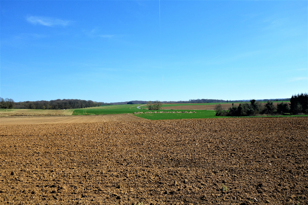 En vente : TERRAIN CONSTRUCTIBLE de 1516 m²