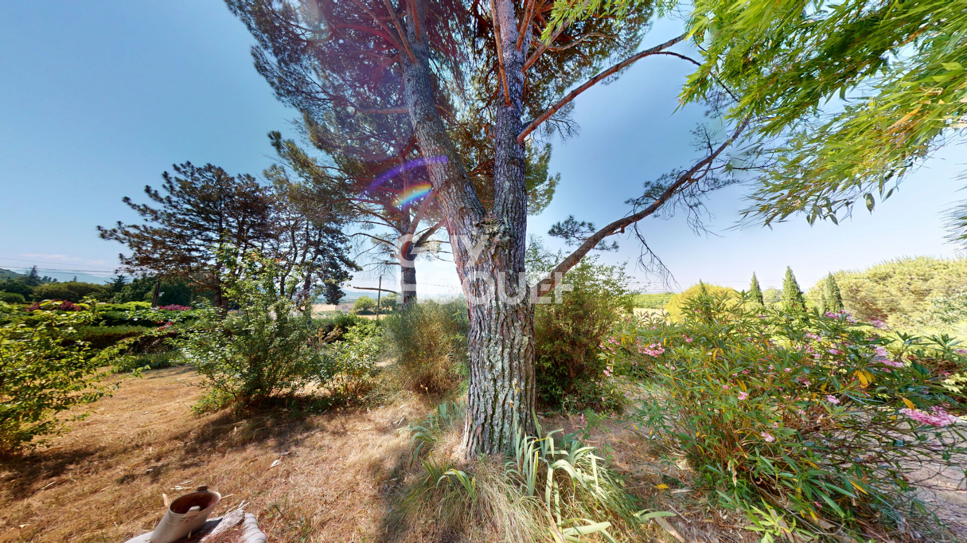 À VENDRE ! MAISON À RÉNOVER AVEC BEAU POTENTIEL