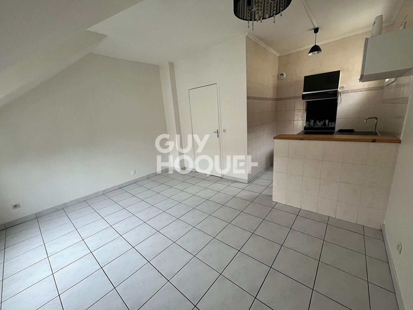 Appartement DAMMARTIN EN GOELE 2 Pièces 33 m²
