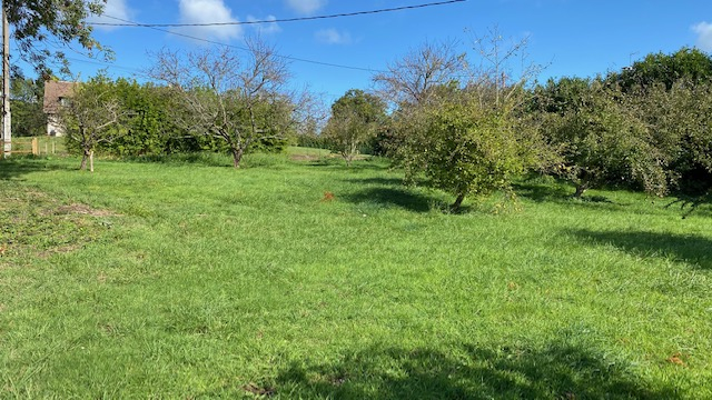 Terrain Saint Martin Aux Chartrains 1310 m2