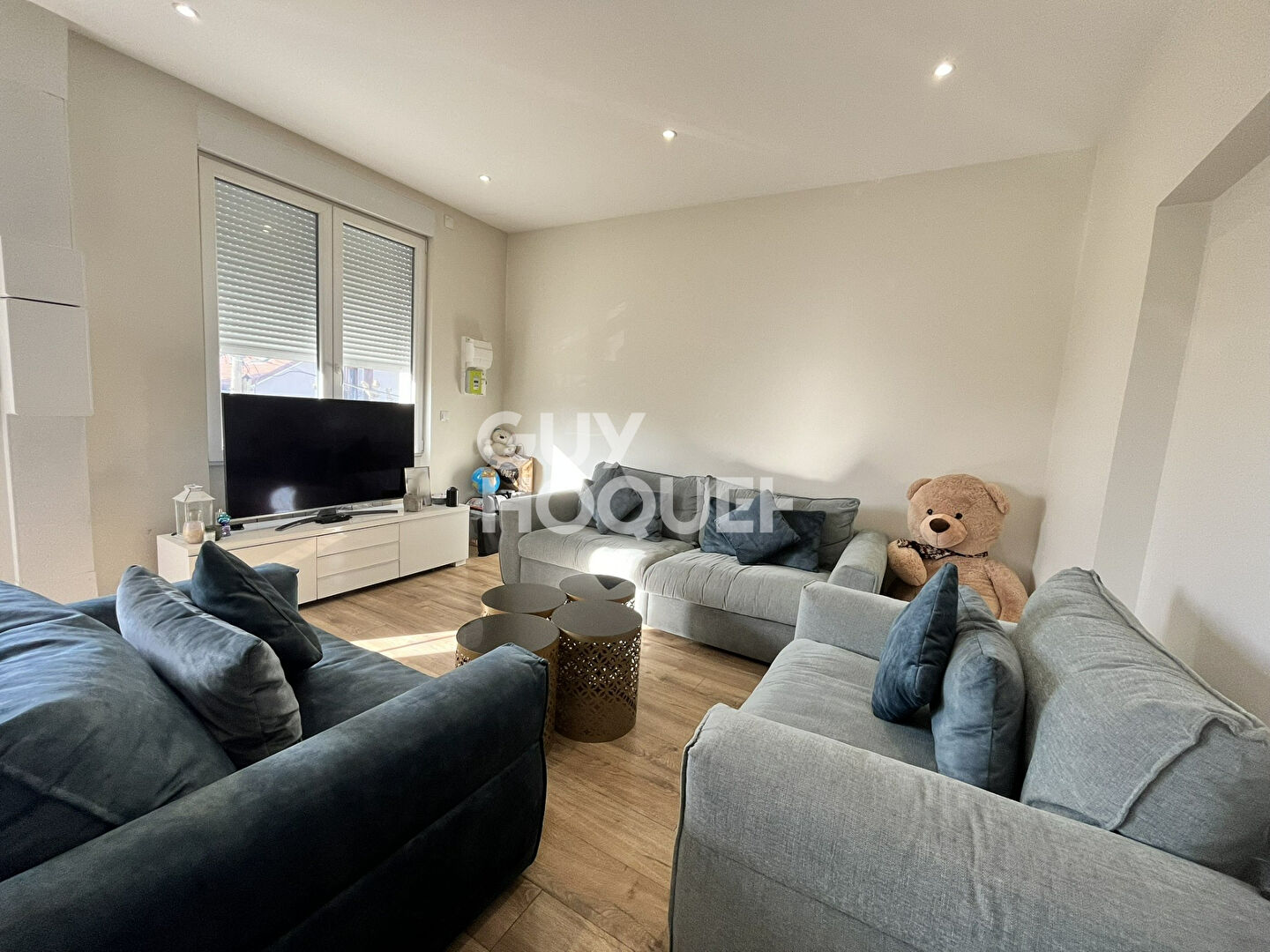 DECINES CHARPIEU  secteur canal : appartement T3 neuf en location