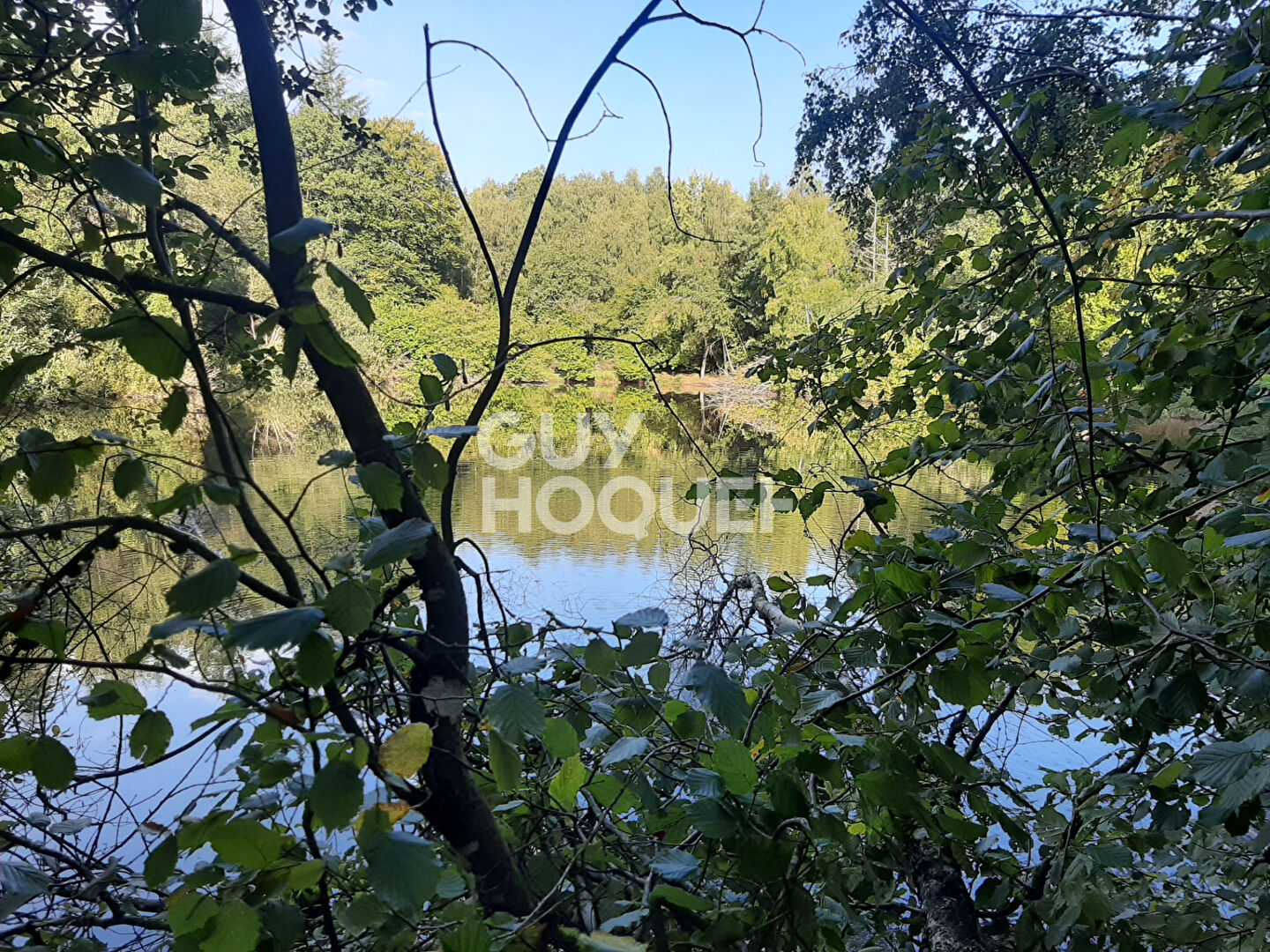 Etang Moux En Morvan , terrain de 34000 m²  avec 2 etangs ( 7500 et 18000 m² ) proche des settons