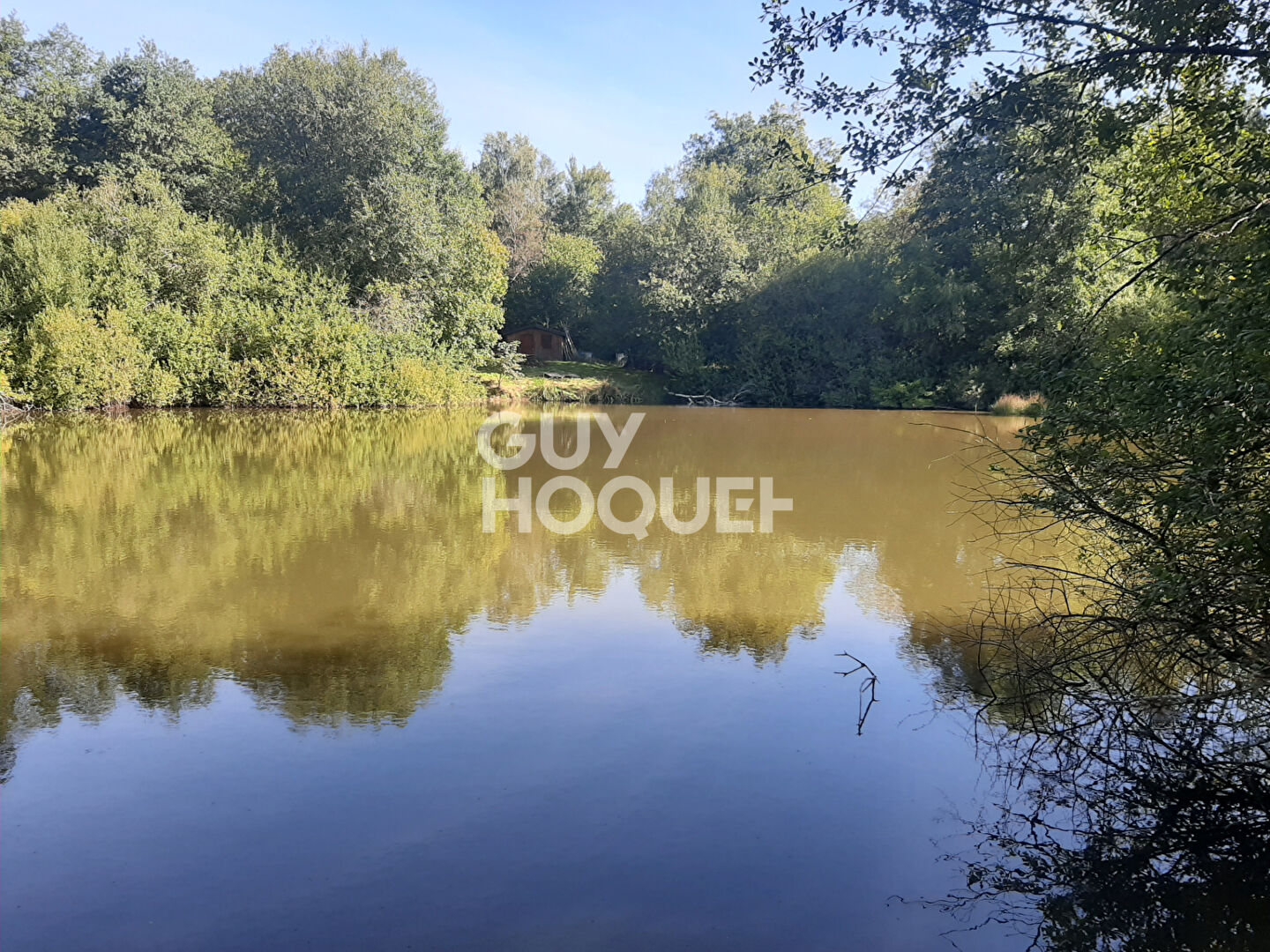 Etang Moux En Morvan , terrain de 34000 m²  avec 2 etangs ( 7500 et 18000 m² ) proche des settons