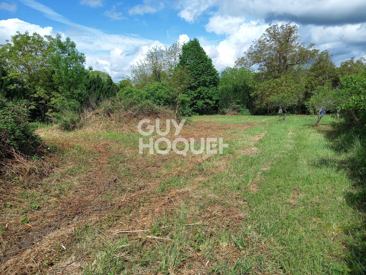 Terrain Constructible - DENNEVY ( vers CHAGNY 71150 ).