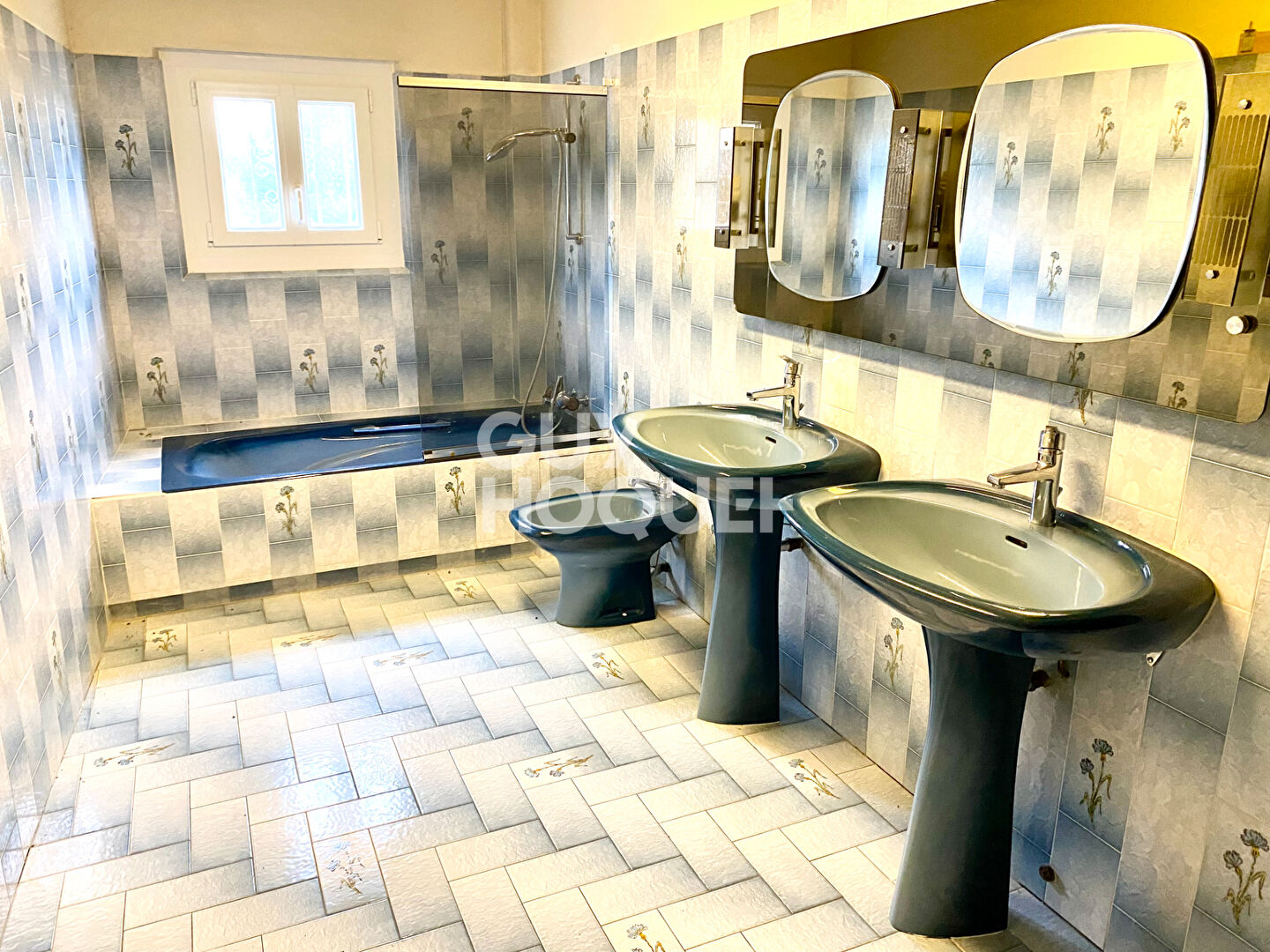 Maison Messigny Et Vantoux 7 pièce(s) 246 m2