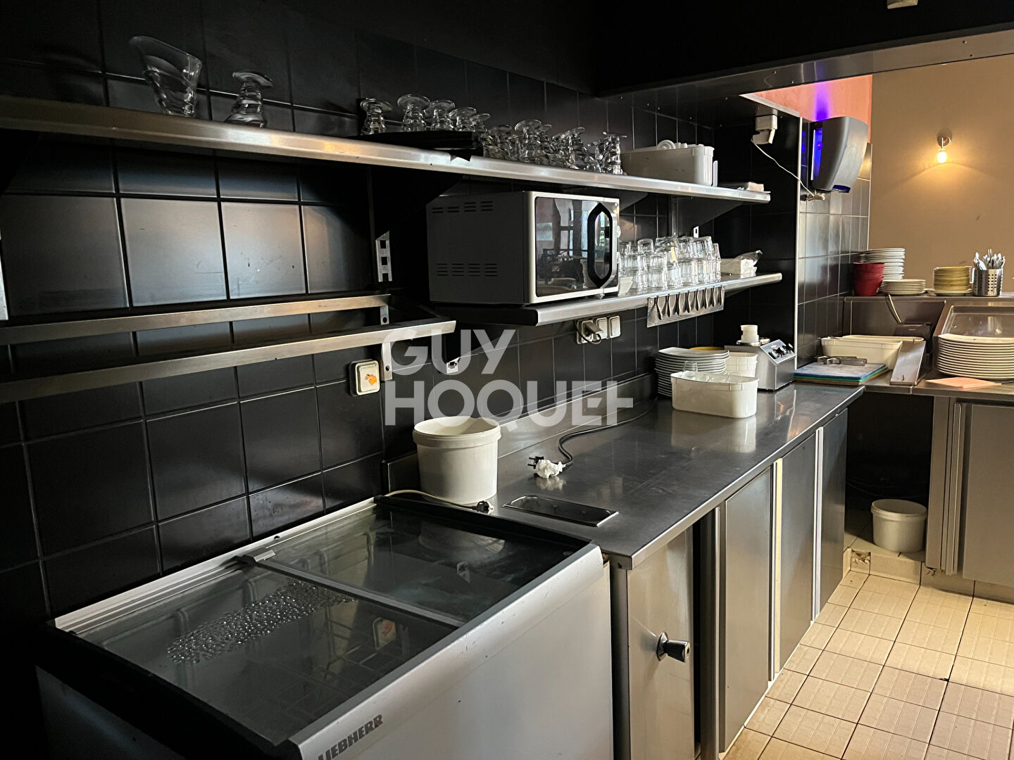 DOLE FONDS RESTAURANT  EX DEL ARTE