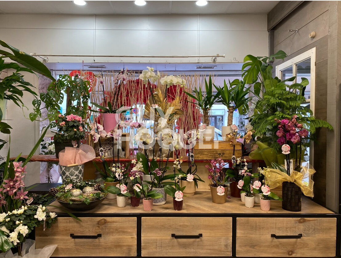 AUXONNE FONDS COMMERCE FLEURISTE