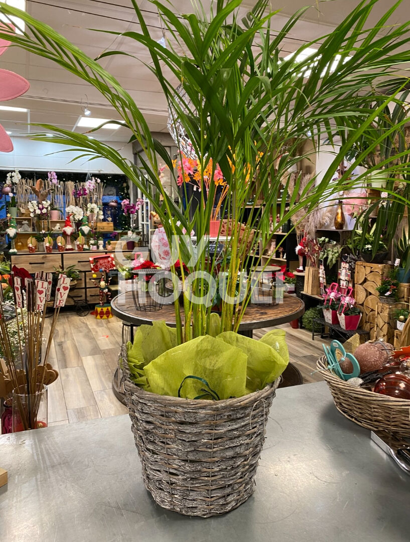 AUXONNE FONDS COMMERCE FLEURISTE