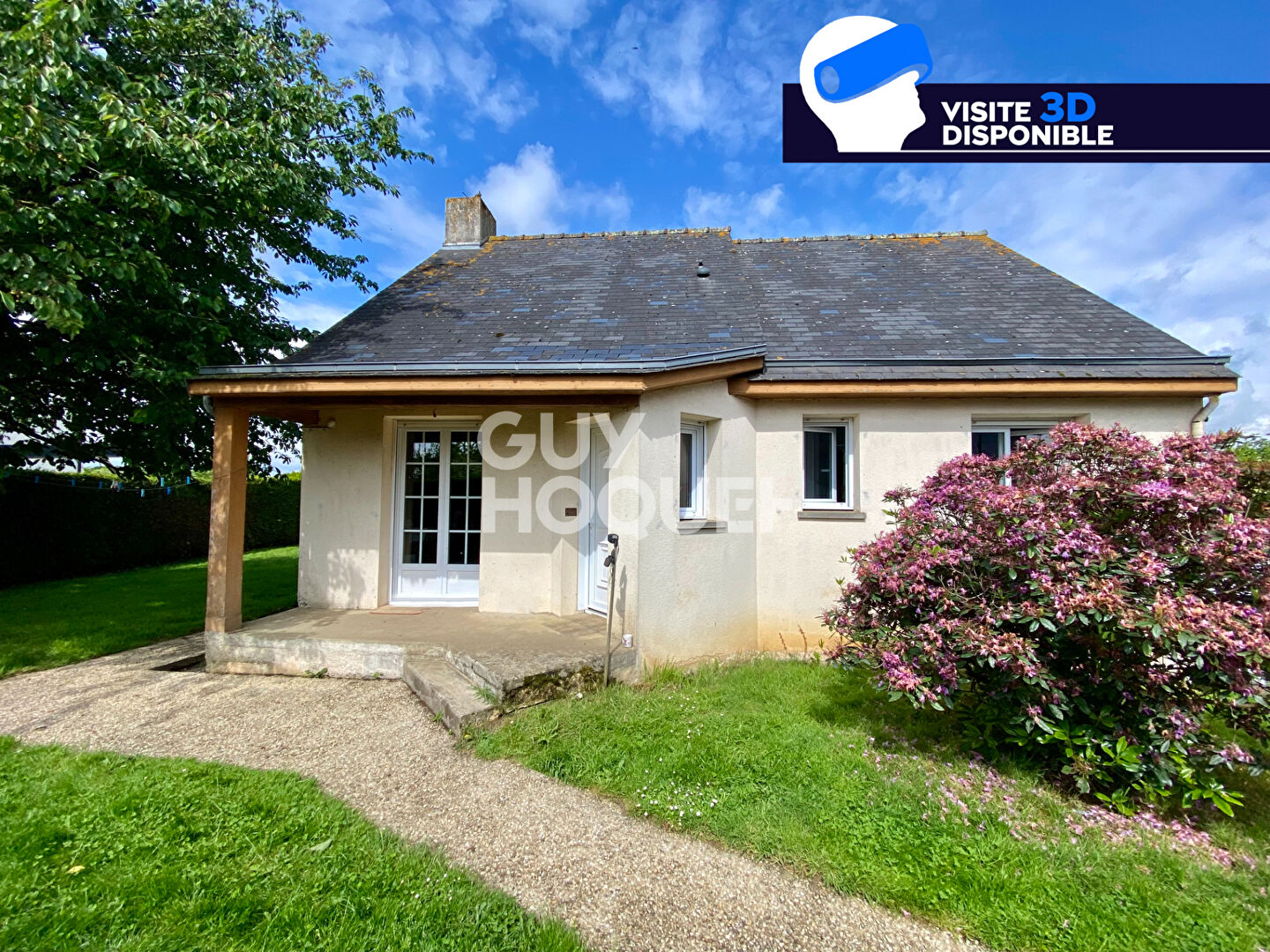 TRANS LA FORET - Exclusivité