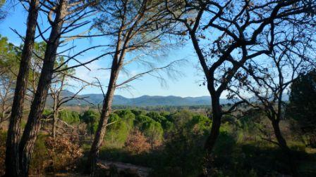 VIDAUBAN