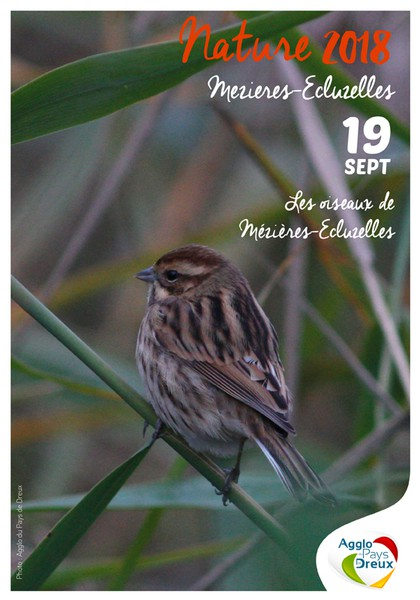 ça gazouille à Mézières-Ecluzelles