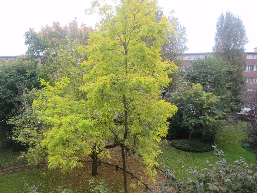 Appartement Dunkerque 5 pièce(s) 75 m2