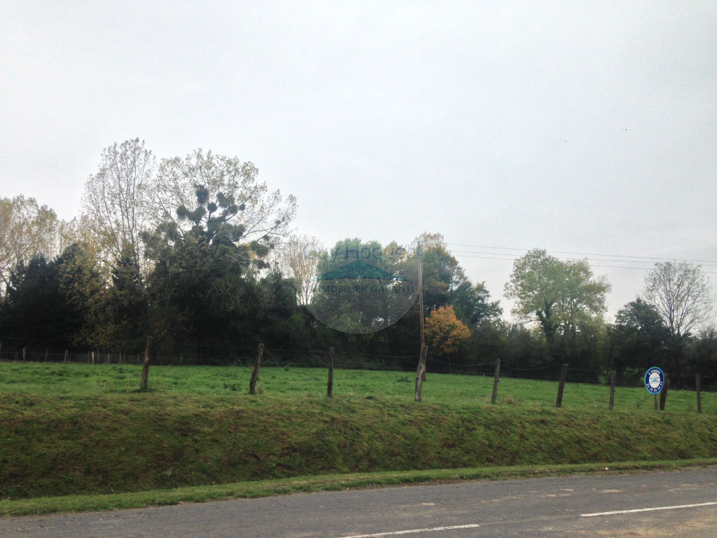 Terrain dit à bâtir