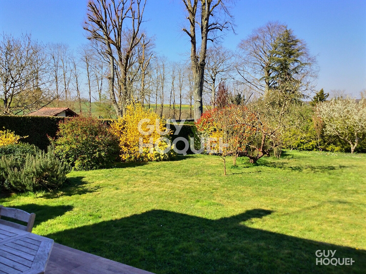 Maison Soindres 8 pièce(s) 217 m2 terrain 1132 m2