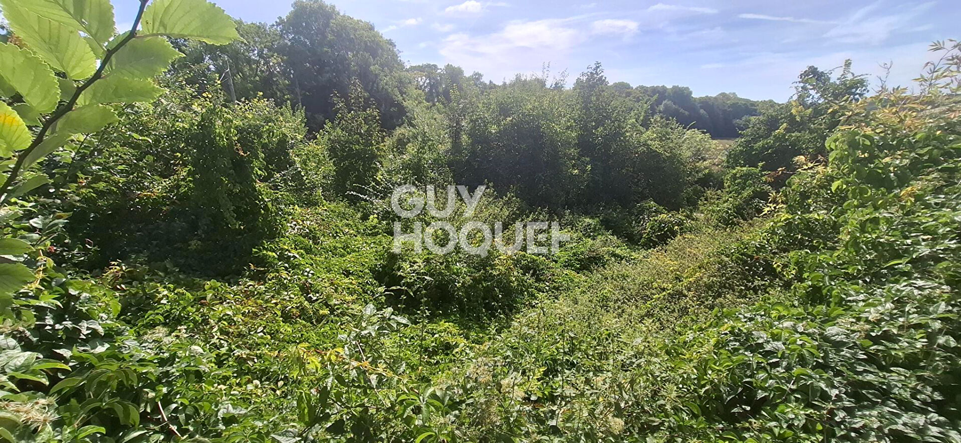 Terrain Aubergenville 1110 m2
