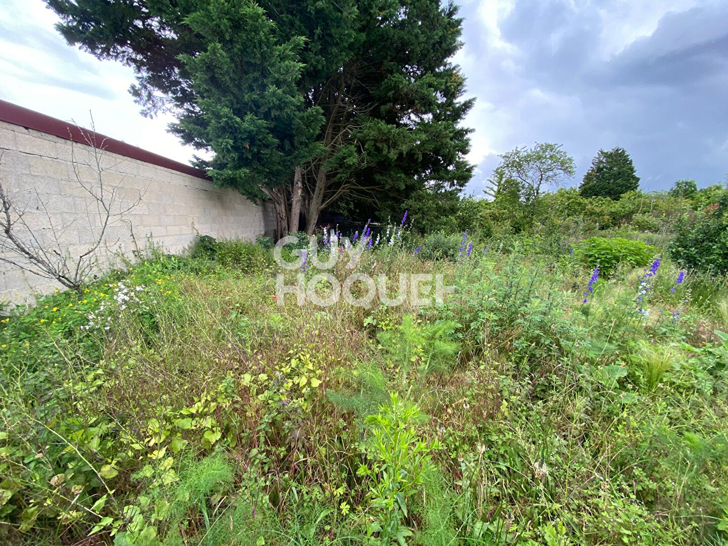 Terrain Guernes 800 m2