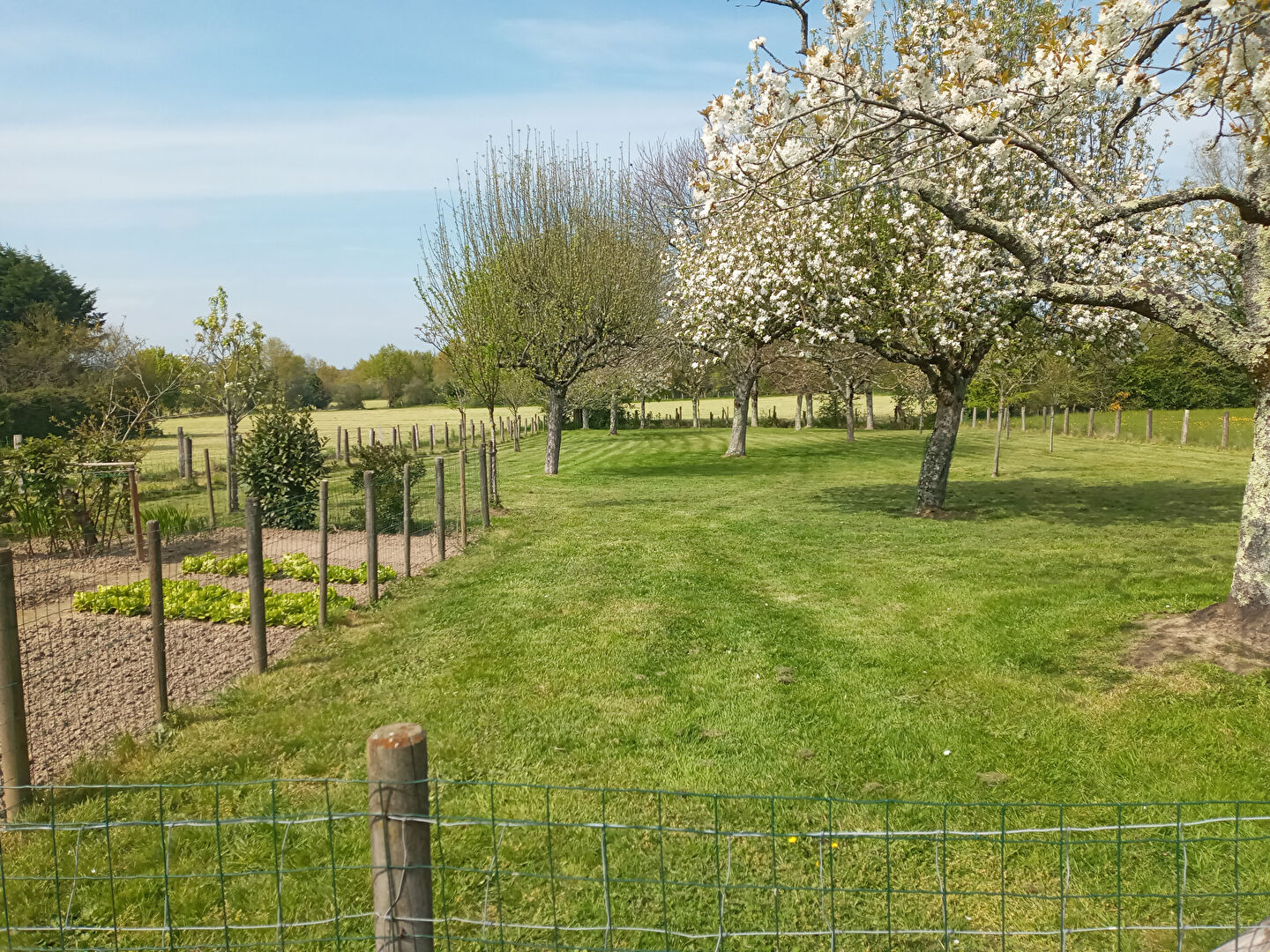 Maison Vigneux De Bretagne 6 pièce(s)