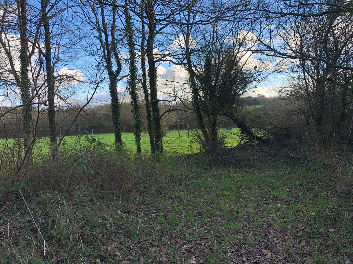 Maison Plesse 3 pièce(s) 103 m2