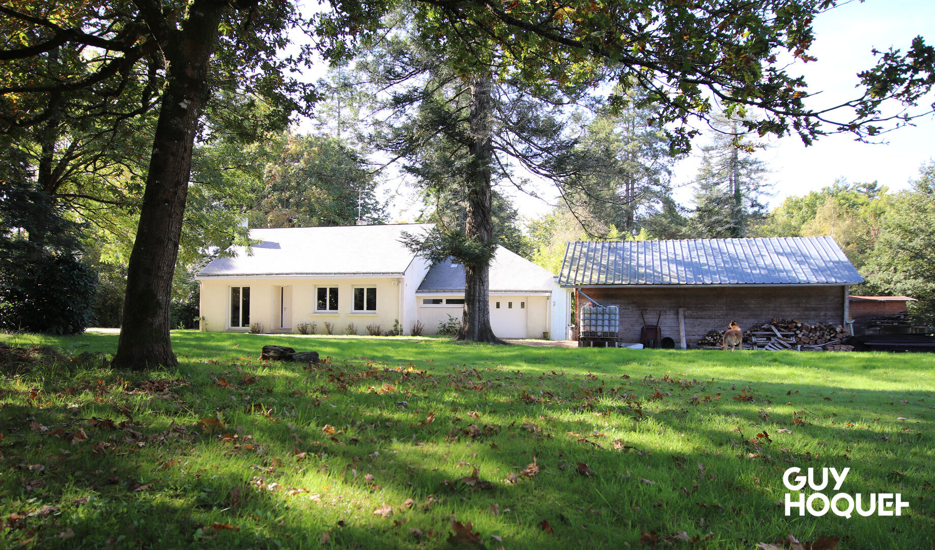 Maison plain-pied au coeur de la nature