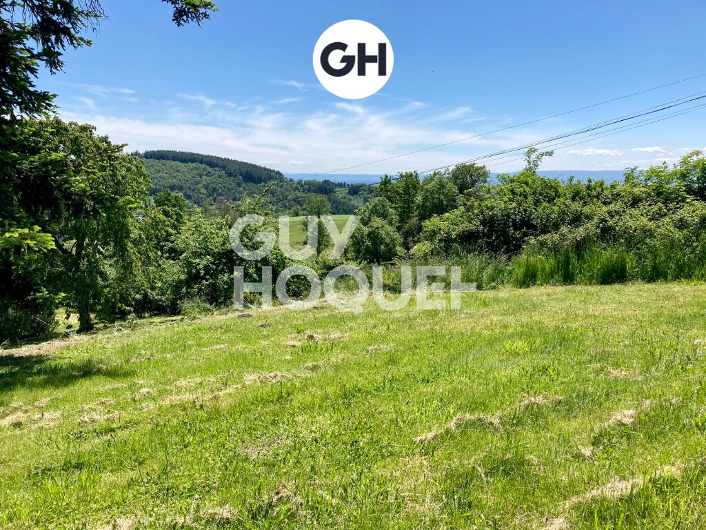 A vendre terrain non viabilisé à Cottance