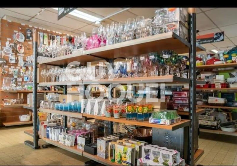 Immeuble libre à rénover d'environ 500 m2