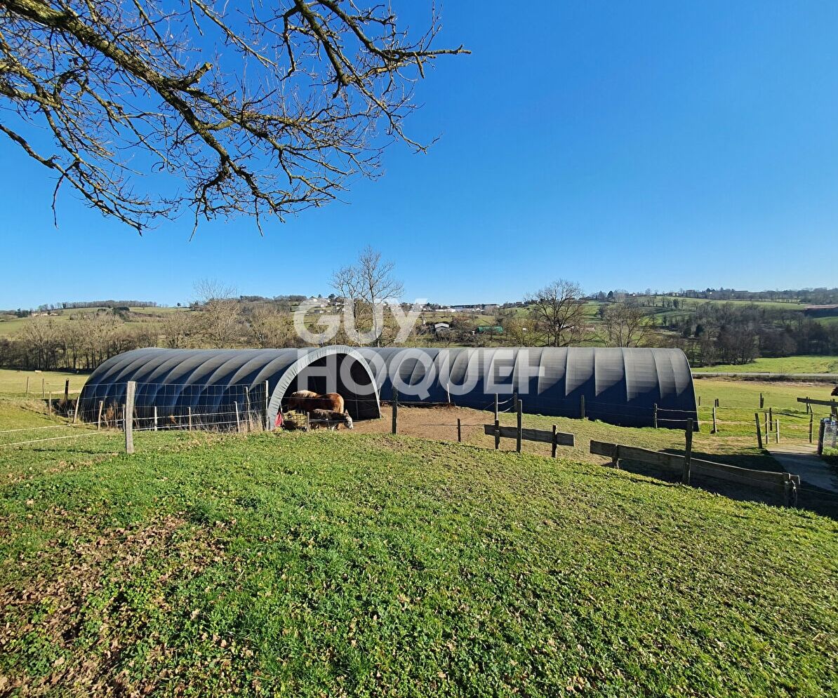 Charmante Ferme Rénovée de 157 m² - 3,7 hectares