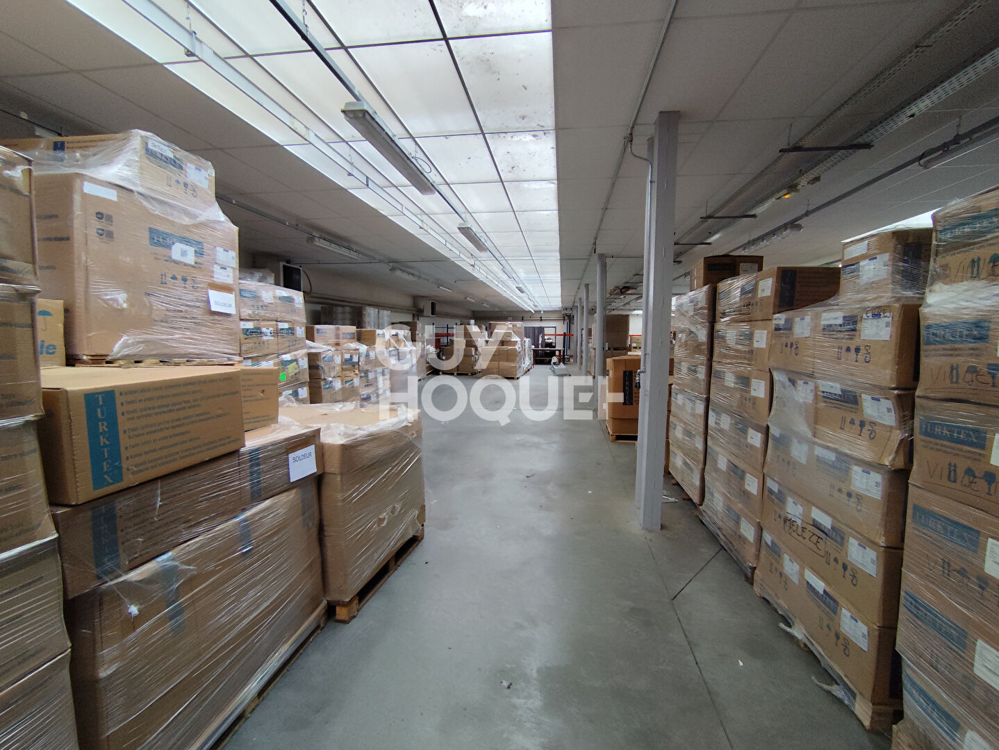 Entrepôt / local industriel Panissieres 1569 m2