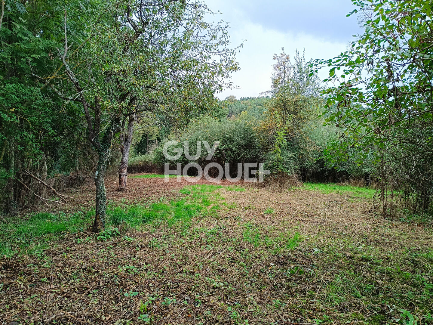 Grange (100 m²) en vente à SAINT MARTIN LA SAUVETE