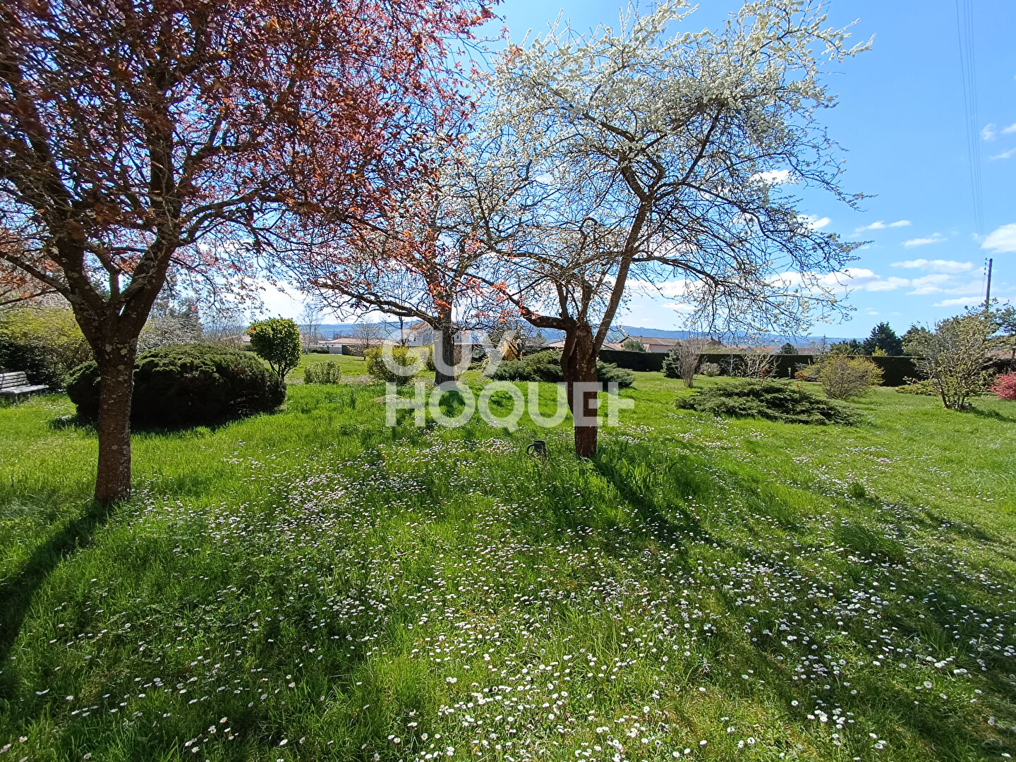 Maison de 85 m2 et dépendances avec 5000m² de Terrain constructible divisible