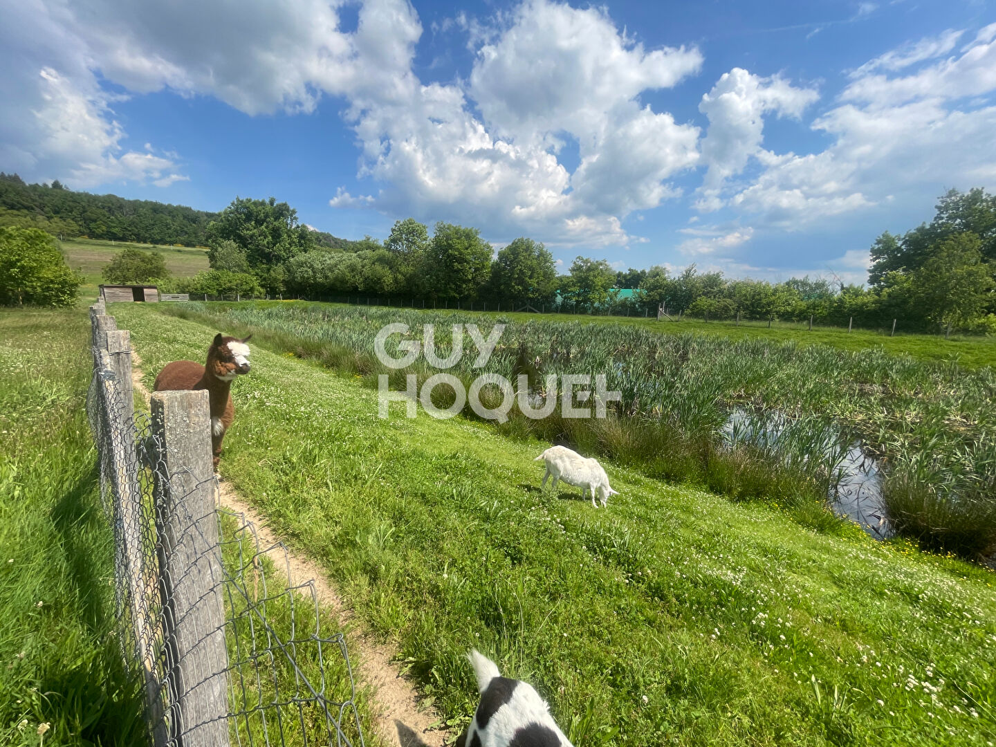 TERRAINS A BATIR A COTTANCE