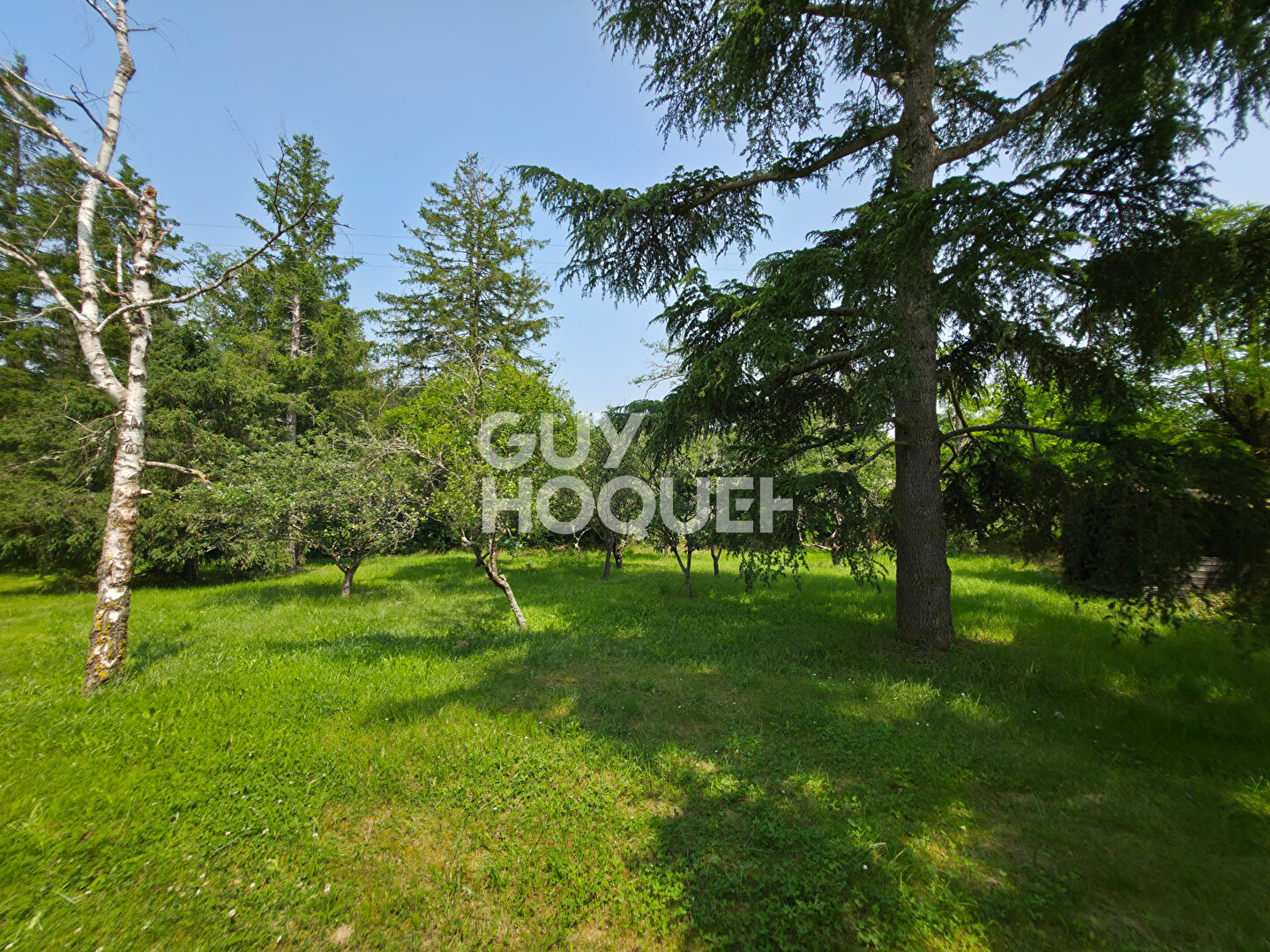 Ancien corps de ferme de 230 m² habitables avec Pool House de 110 m² à PONCINS