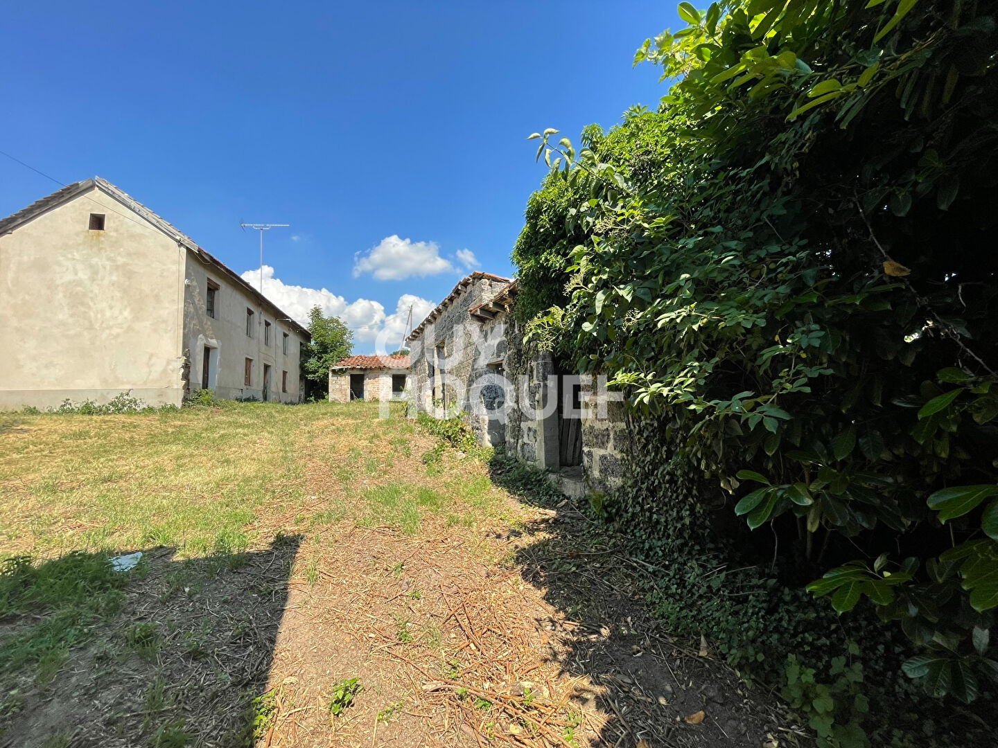 EXCLUSIVITÉ ! Ferme