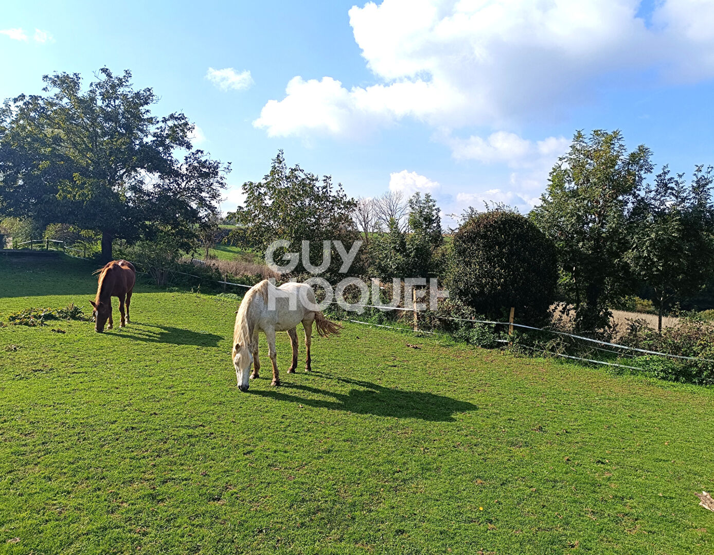 Maison Essertines En Donzy 10 pièce(s) 235 m2