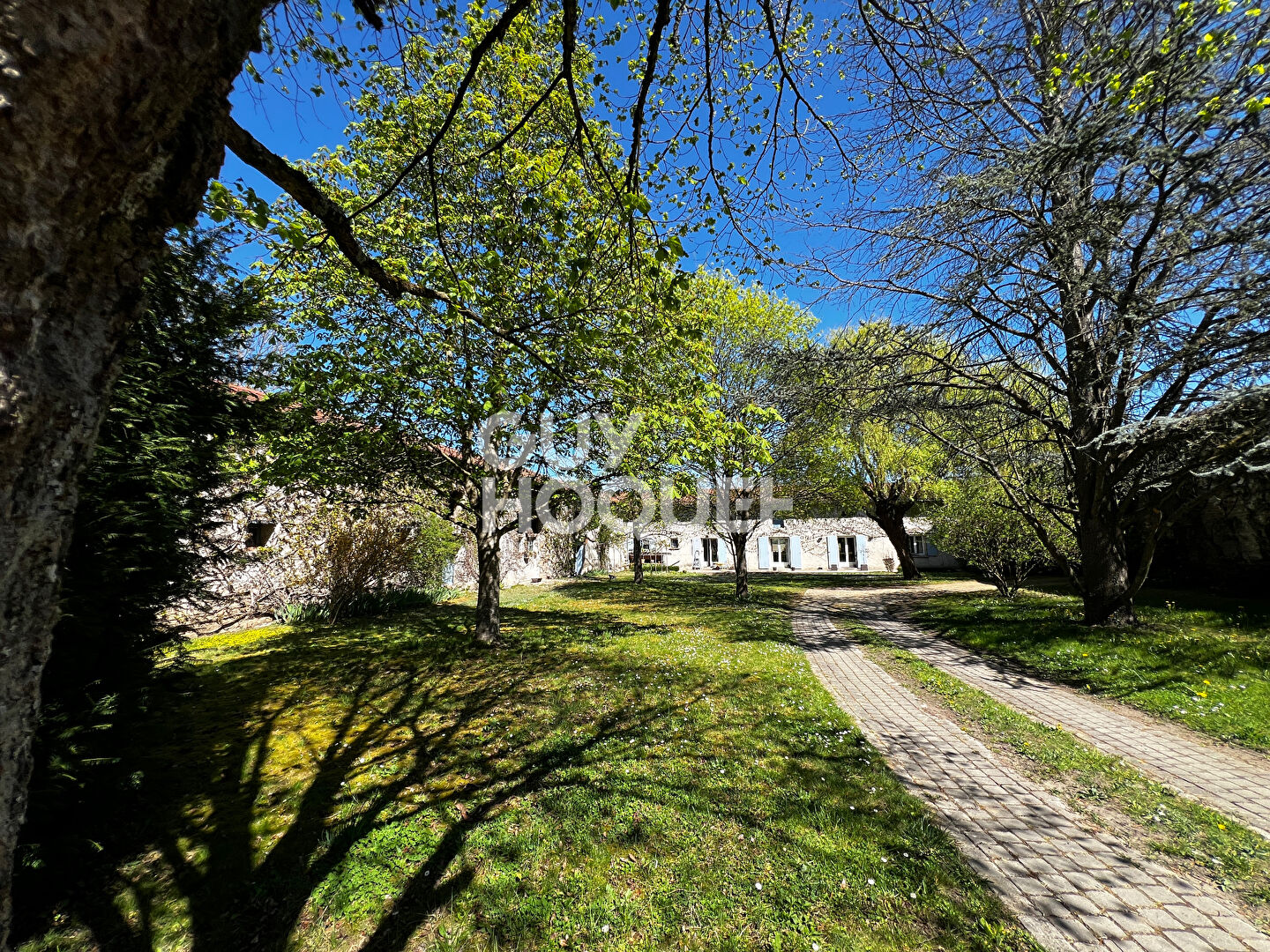 Maison d'exception à vendre à Nervieux - 5 pièces, 232 m² sur terrain de 10514 m²