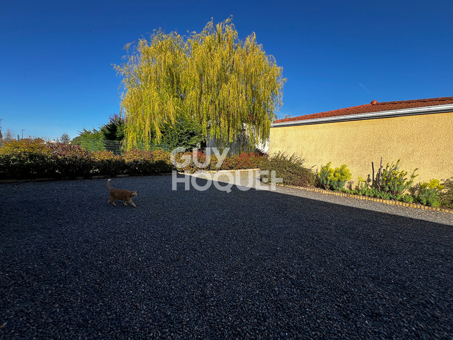 Maison Feurs 6 pièce(s) 175 m2