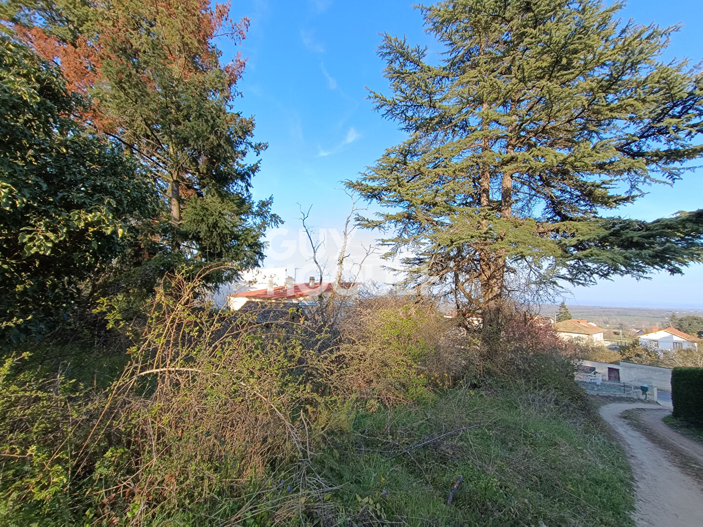 Boën-sur-Lignon   parcelle viabilisée  709 m²