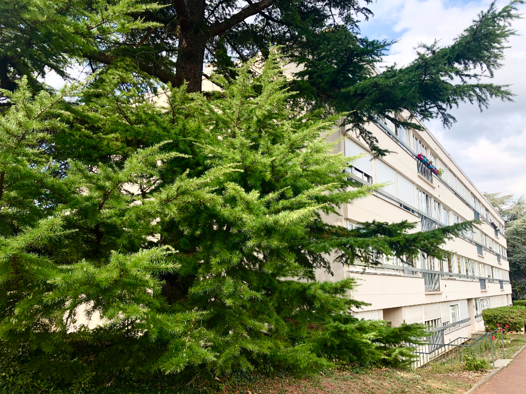 APPARTEMENT 4 PIÈCES CHATENAY MALABRY